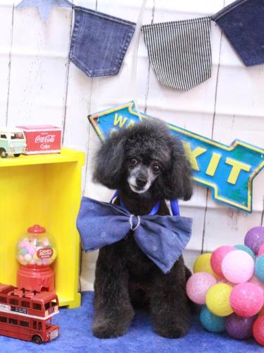 20230413ラムくん